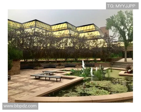 足球温总督的传奇之路与中国足球的未来展望