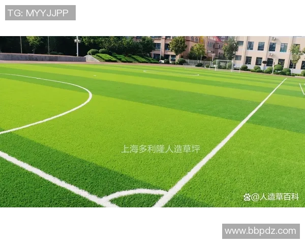 足球草坪花纹设计的艺术与科学探讨以及对比赛效果的影响分析